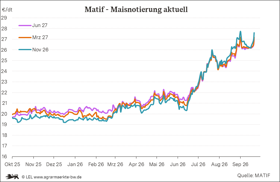 Bilder anzeigen