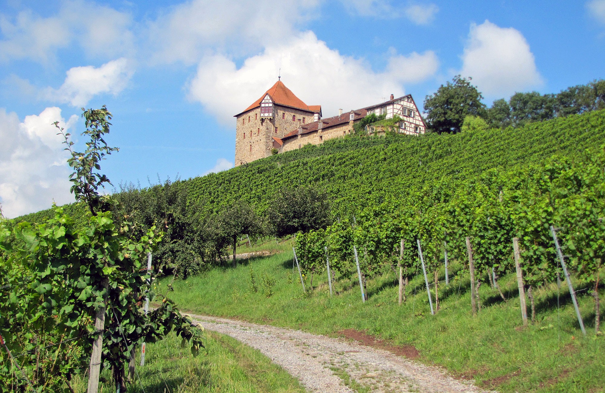 Schulgebäude der LVWO Weinsberg am Hang mit Weinreben.