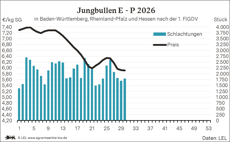 Bilder anzeigen