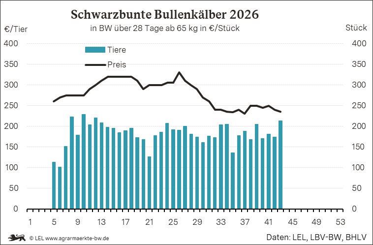 Bilder anzeigen
