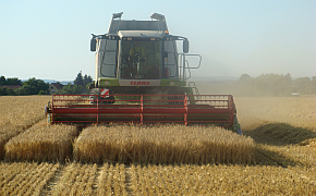 LEL-Maps - Pflanzliche Erzeugung