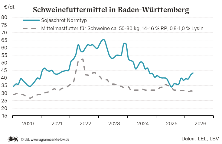 Bilder anzeigen