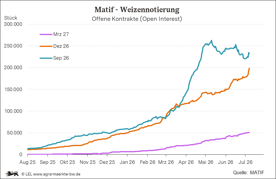 Bilder anzeigen
