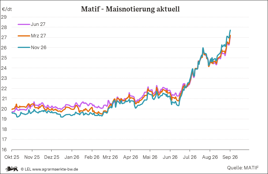 Bilder anzeigen