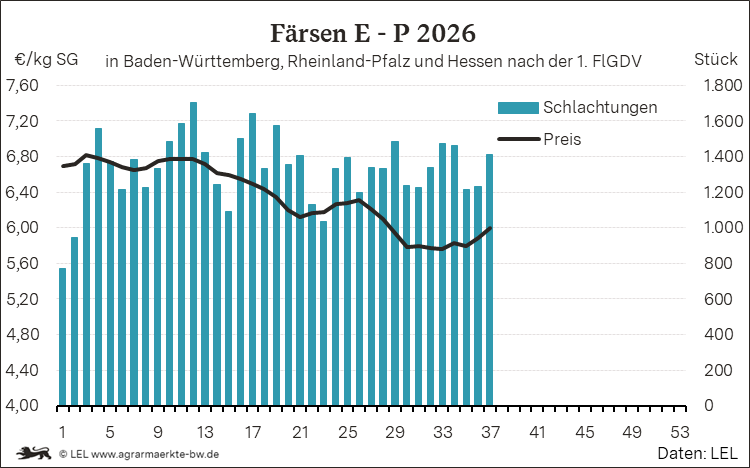 Bilder anzeigen