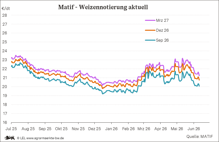 Bilder anzeigen
