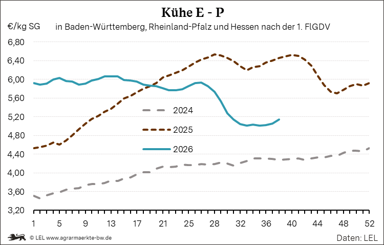 Bilder anzeigen