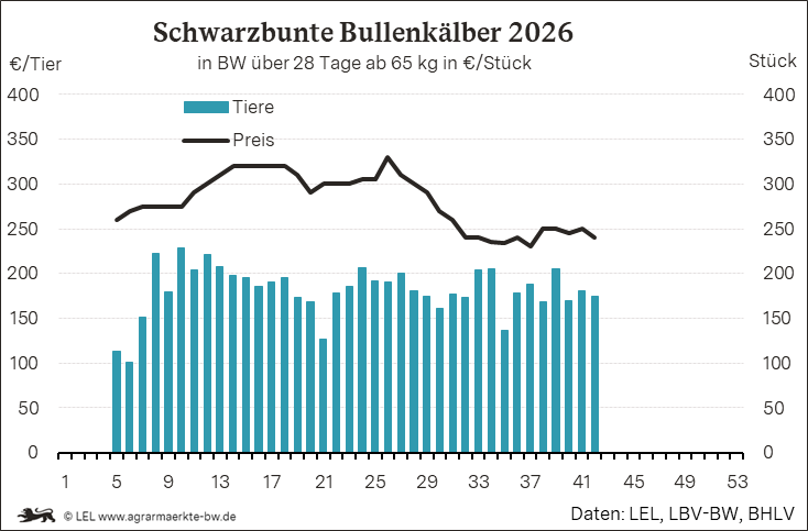 Bilder anzeigen