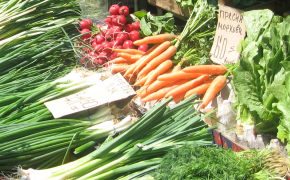 Markt und Ernährung - Ernährungswirtschaft