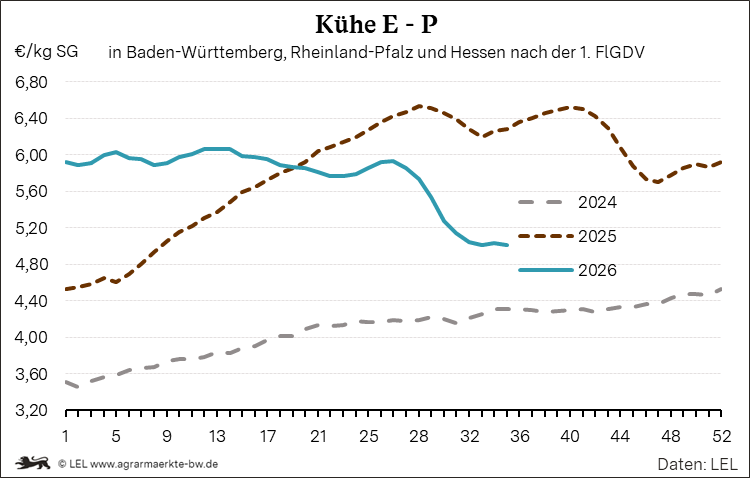 Bilder anzeigen