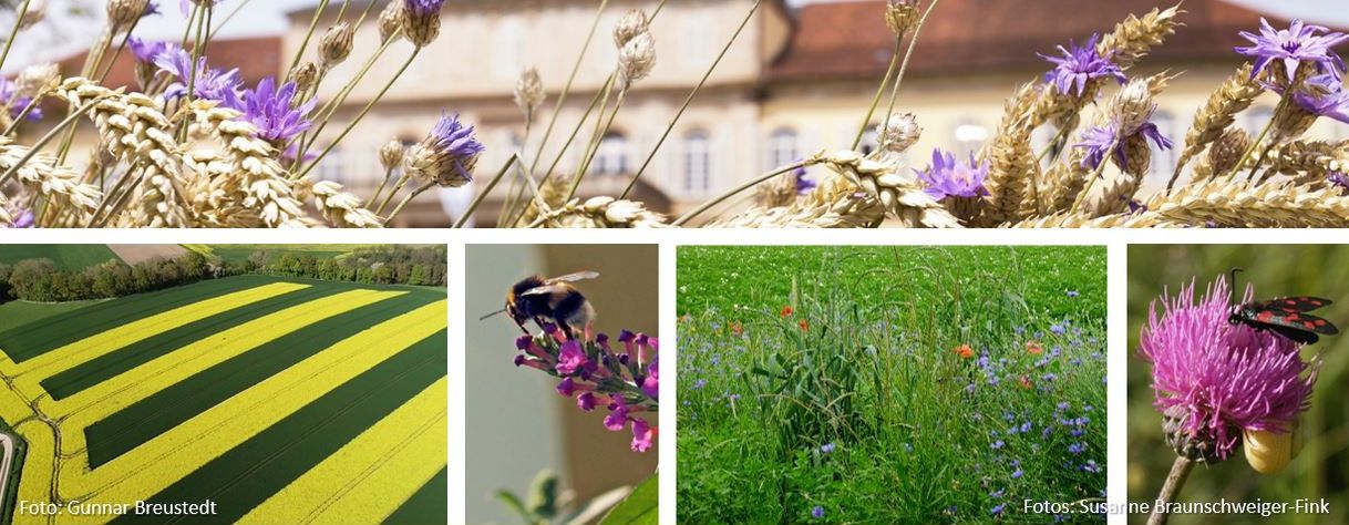 Landwirtschaftlicher_Hochschultag_Hohenheim_2022
