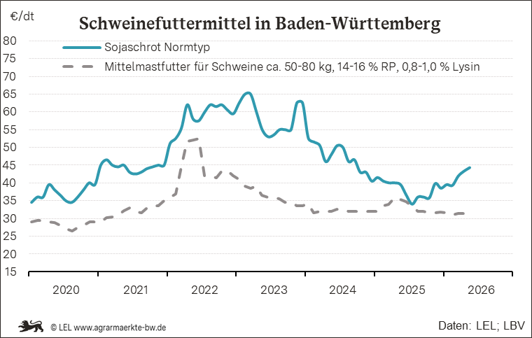 Bilder anzeigen