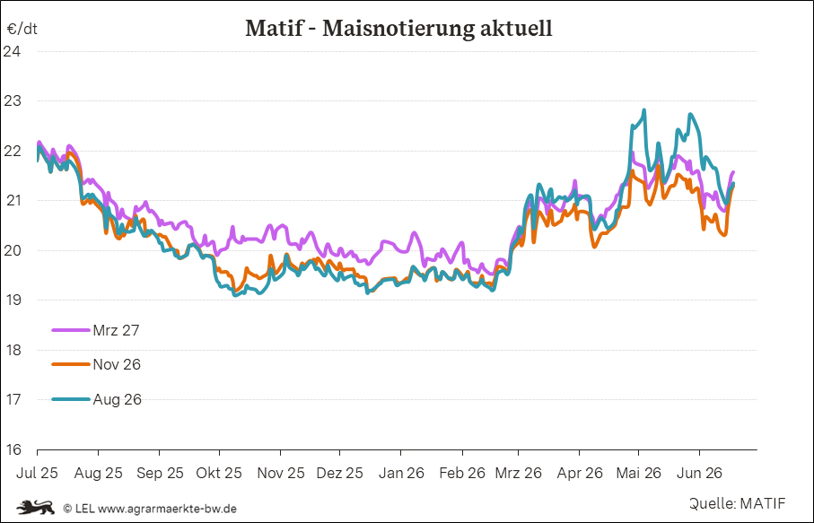 Bilder anzeigen