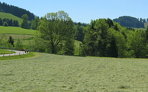 Pflanzliche Erzeugung - Dauergrünland / Ackerfutter