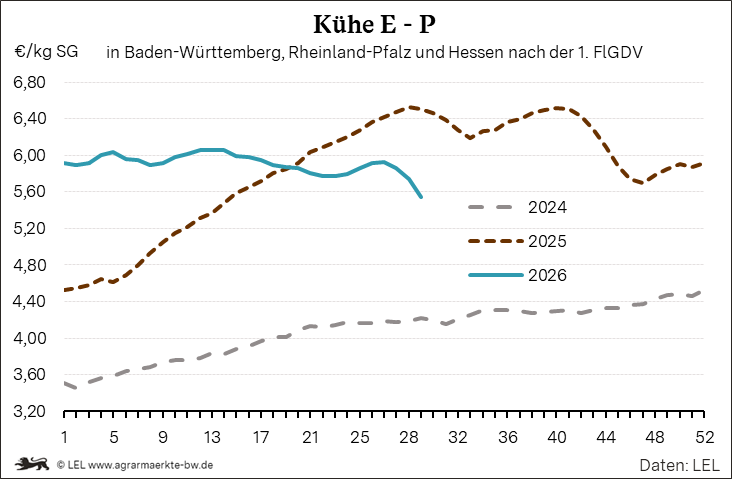 Bilder anzeigen