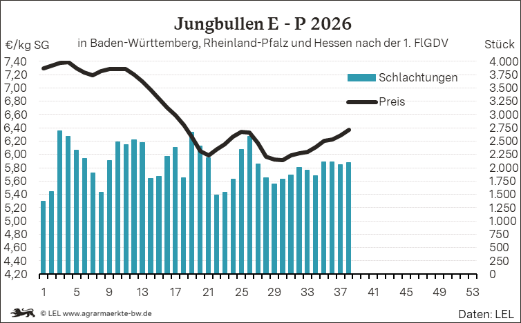 Bilder anzeigen