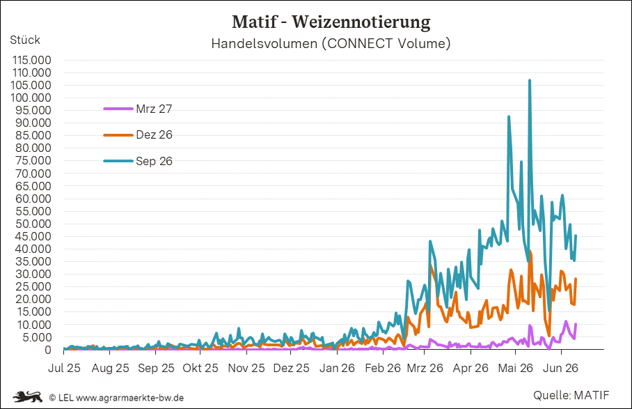 Bilder anzeigen