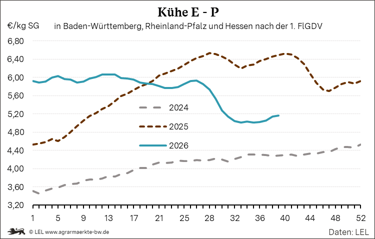 Bilder anzeigen