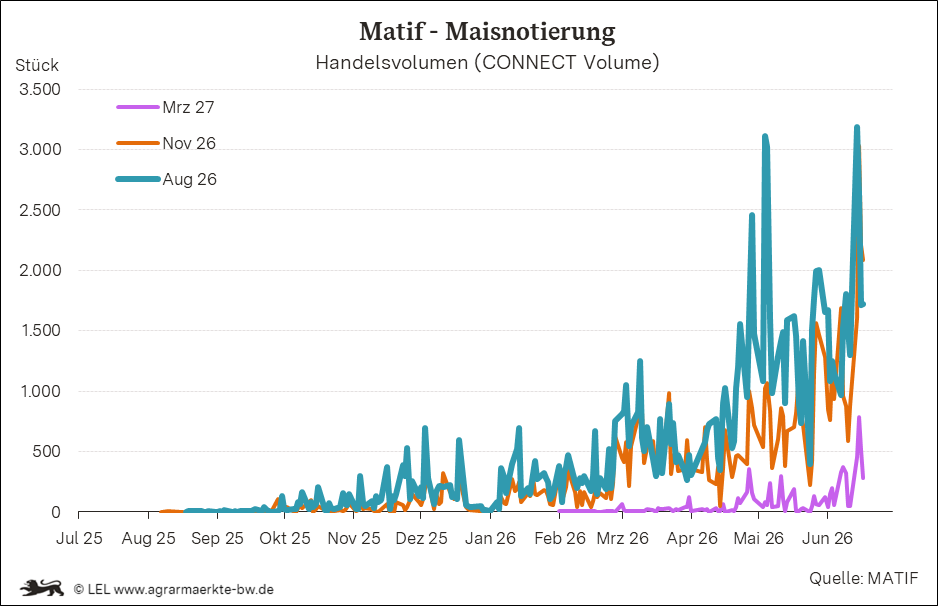 Bilder anzeigen