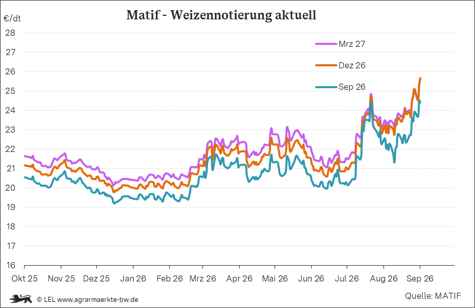 Bilder anzeigen