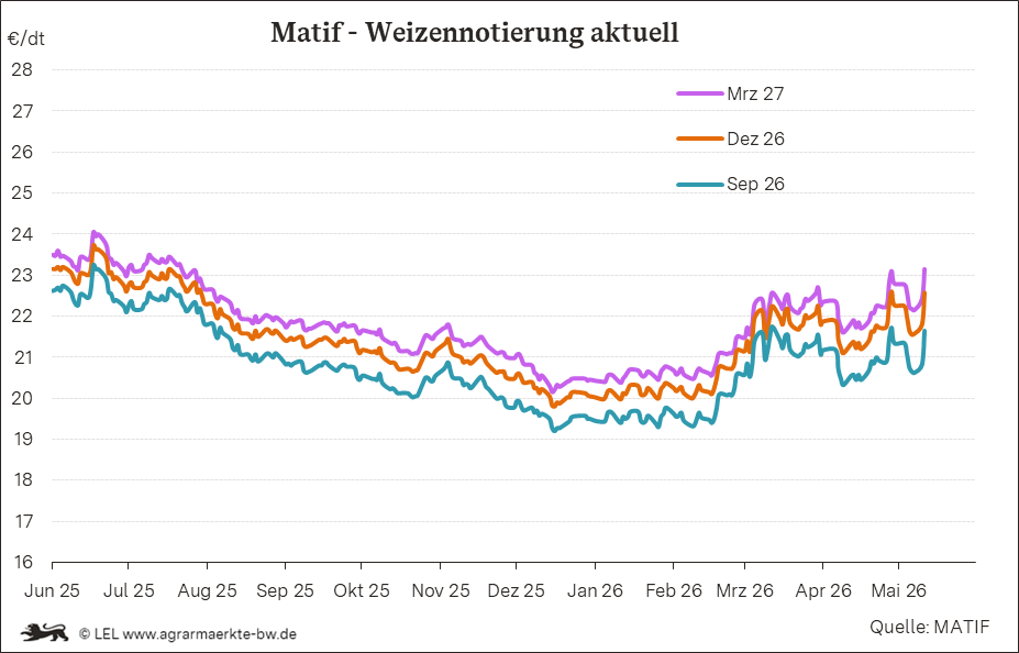 Bilder anzeigen