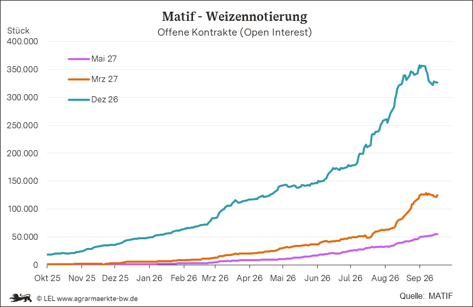 Bilder anzeigen