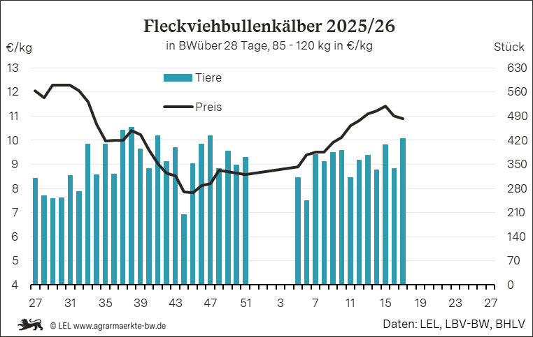 Bilder anzeigen