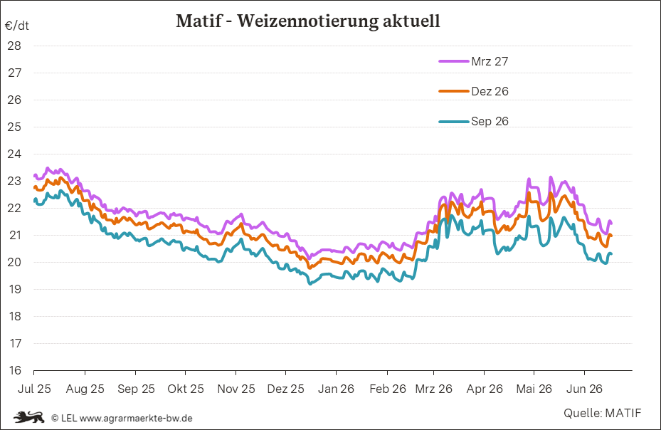 Bilder anzeigen