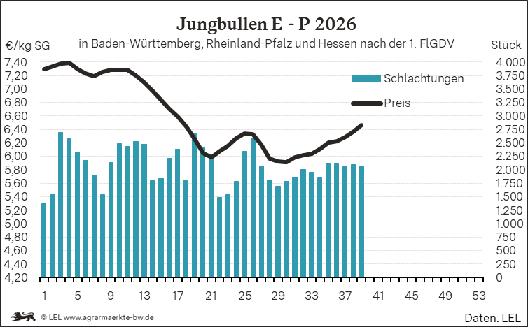 Bilder anzeigen