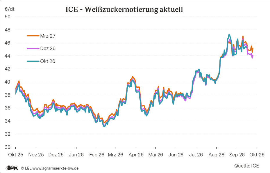 Bilder anzeigen