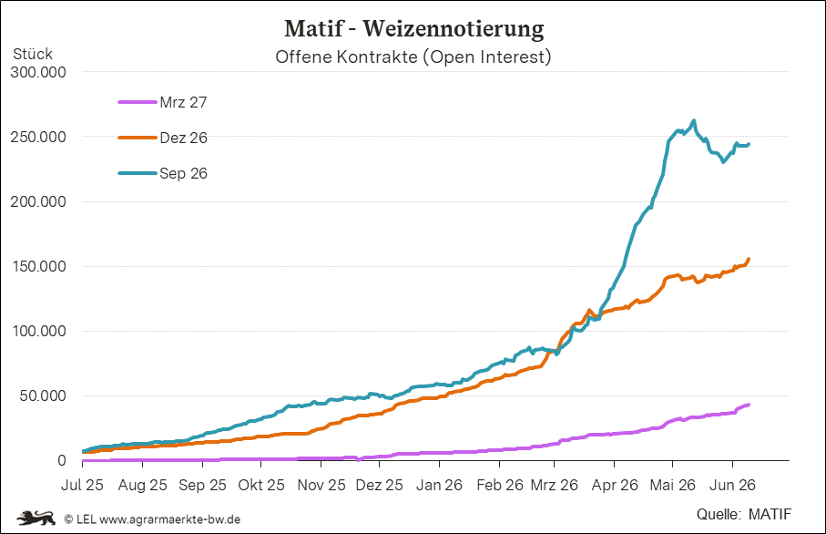 Bilder anzeigen