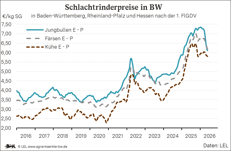 Bilder anzeigen