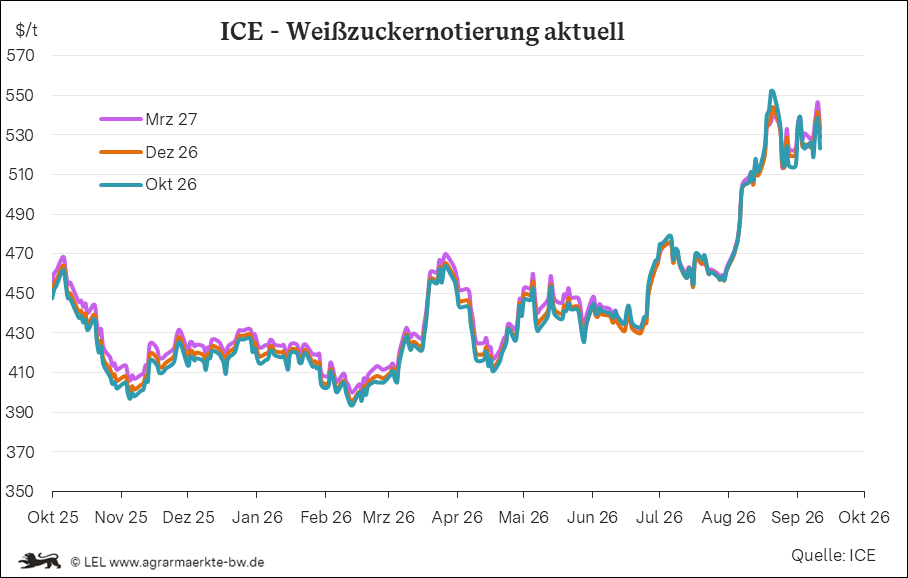 Bilder anzeigen