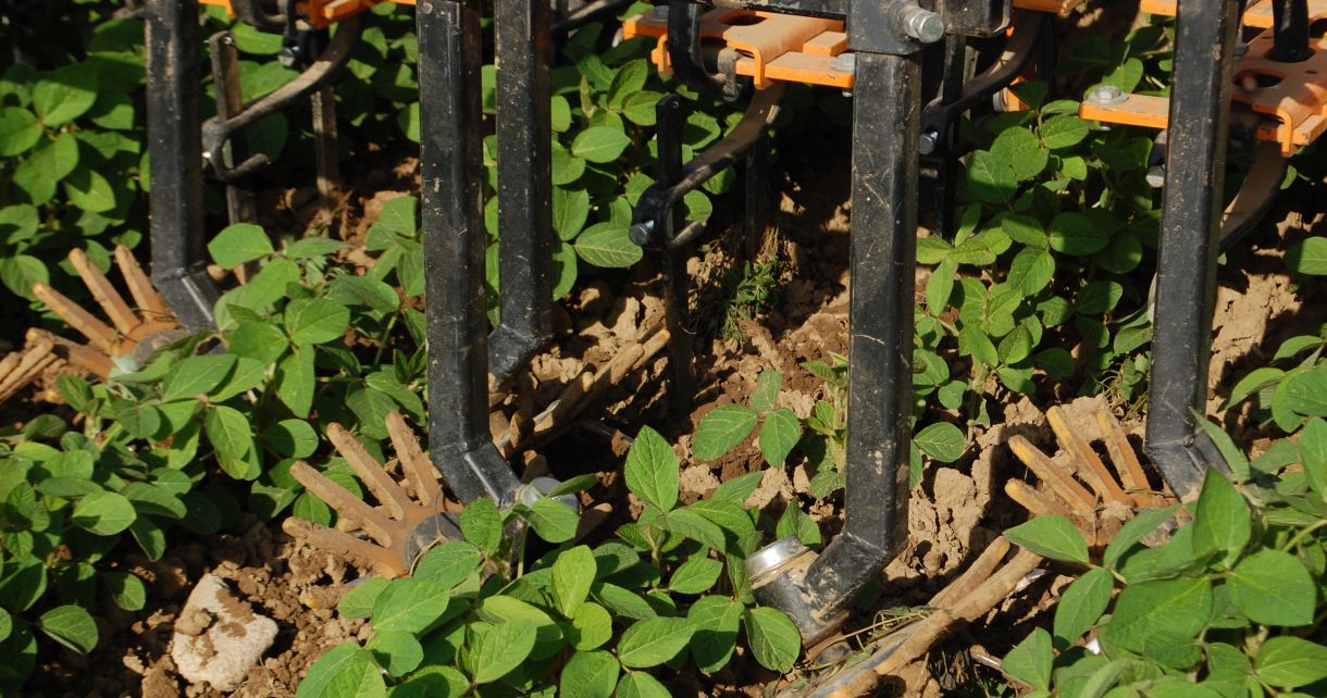 Titelbild_Landinfo_4_2022; Schwerpunktthema Reduktionsstrategie von Pflanzenschutzmitteln“