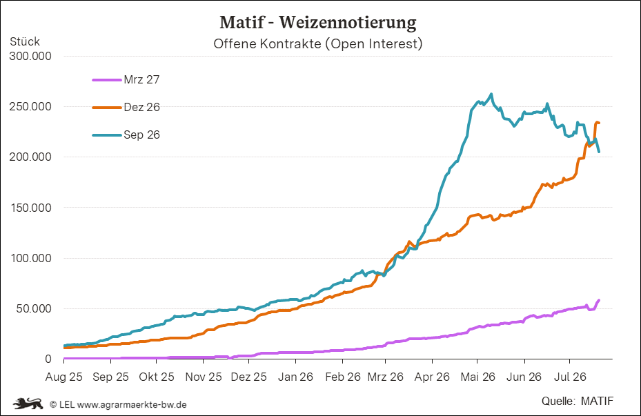 Bilder anzeigen