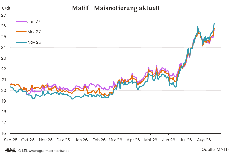 Bilder anzeigen