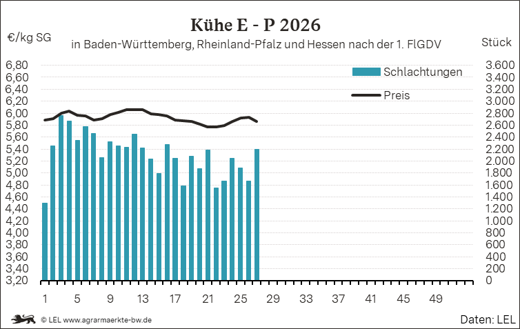 Bilder anzeigen