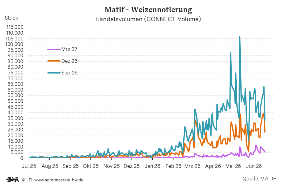 Bilder anzeigen