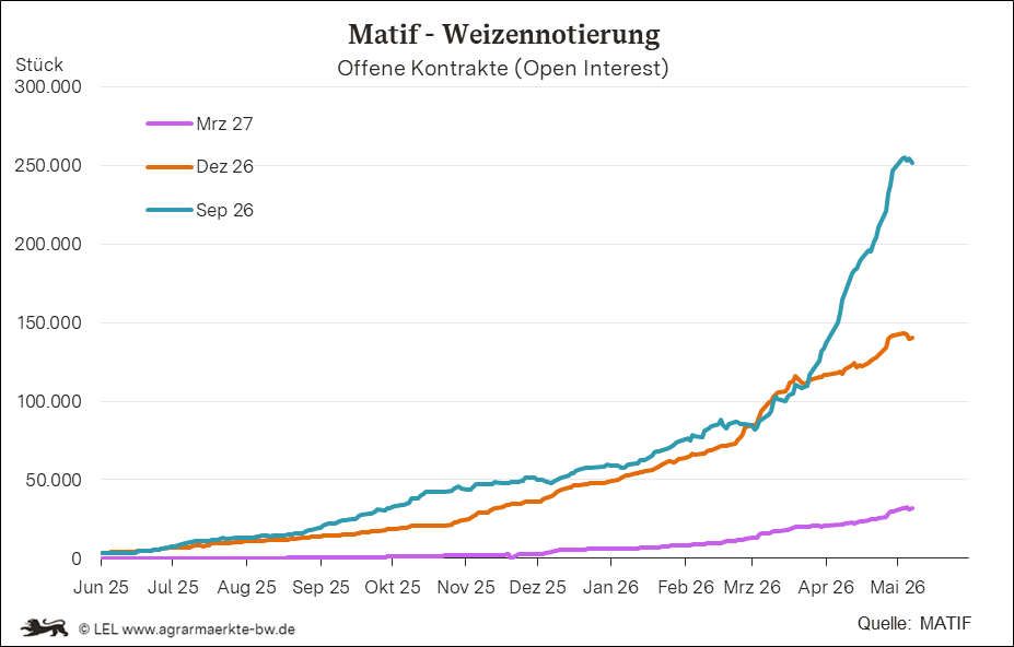 Bilder anzeigen