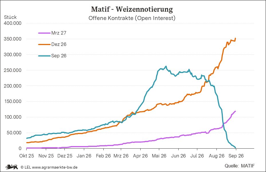 Bilder anzeigen