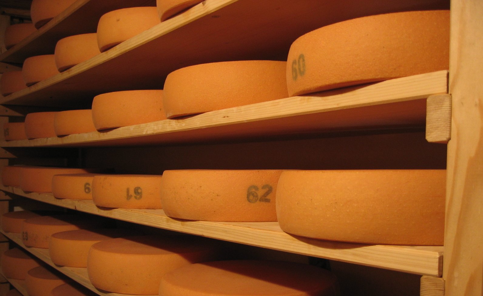 Käse im Regal