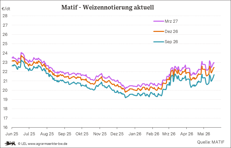 Bilder anzeigen