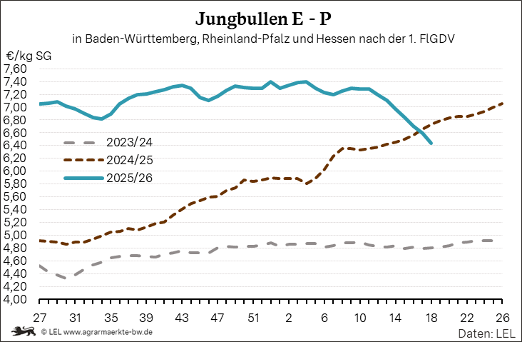 Bilder anzeigen