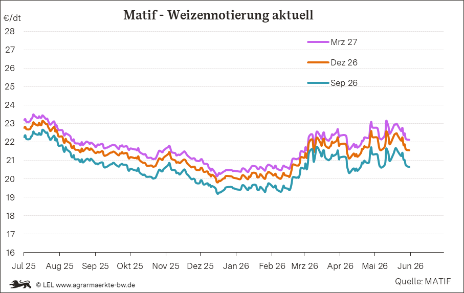 Bilder anzeigen