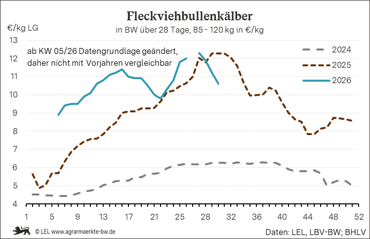 Bilder anzeigen